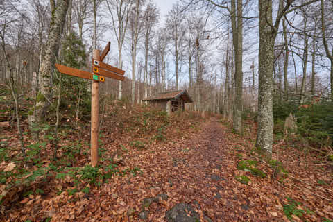 Gemeinde Sankt_Oswald-Riedlhütte Landkreis Freyung-Grafenau Großer Rachel Schutzhütte Feistenberg (Dirschl Johann) Deutschland FRG